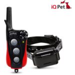 Dogtra iQ Plus