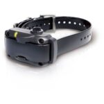 Dogtra YS600 No-Bark Collar