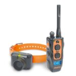 Dogtra 2700T&B TRAINING AND BEEPER
