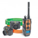 Dogtra 2702T&B TRAINING AND BEEPER