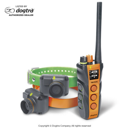 Dogtra T&B DUAL 2-DOG