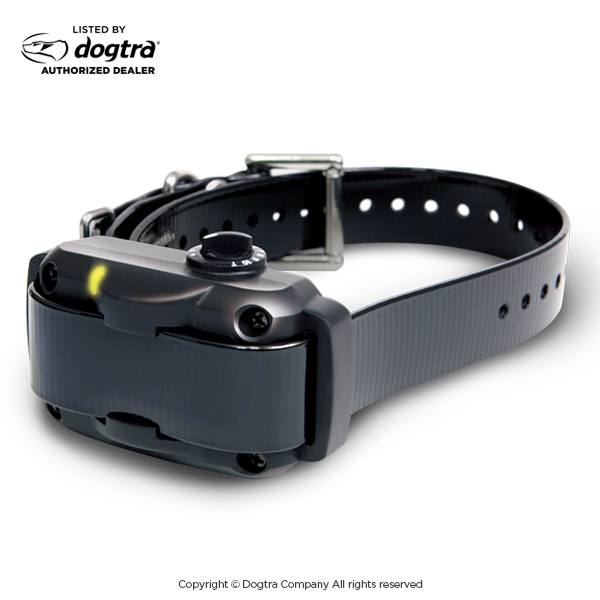 Dogtra YS600 No-Bark Collar