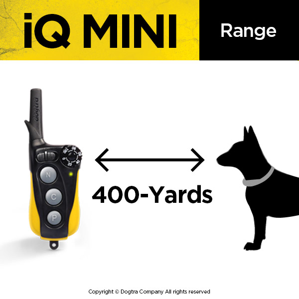 Dogtra IQ Mini
