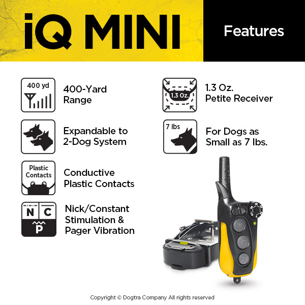 Dogtra IQ Mini