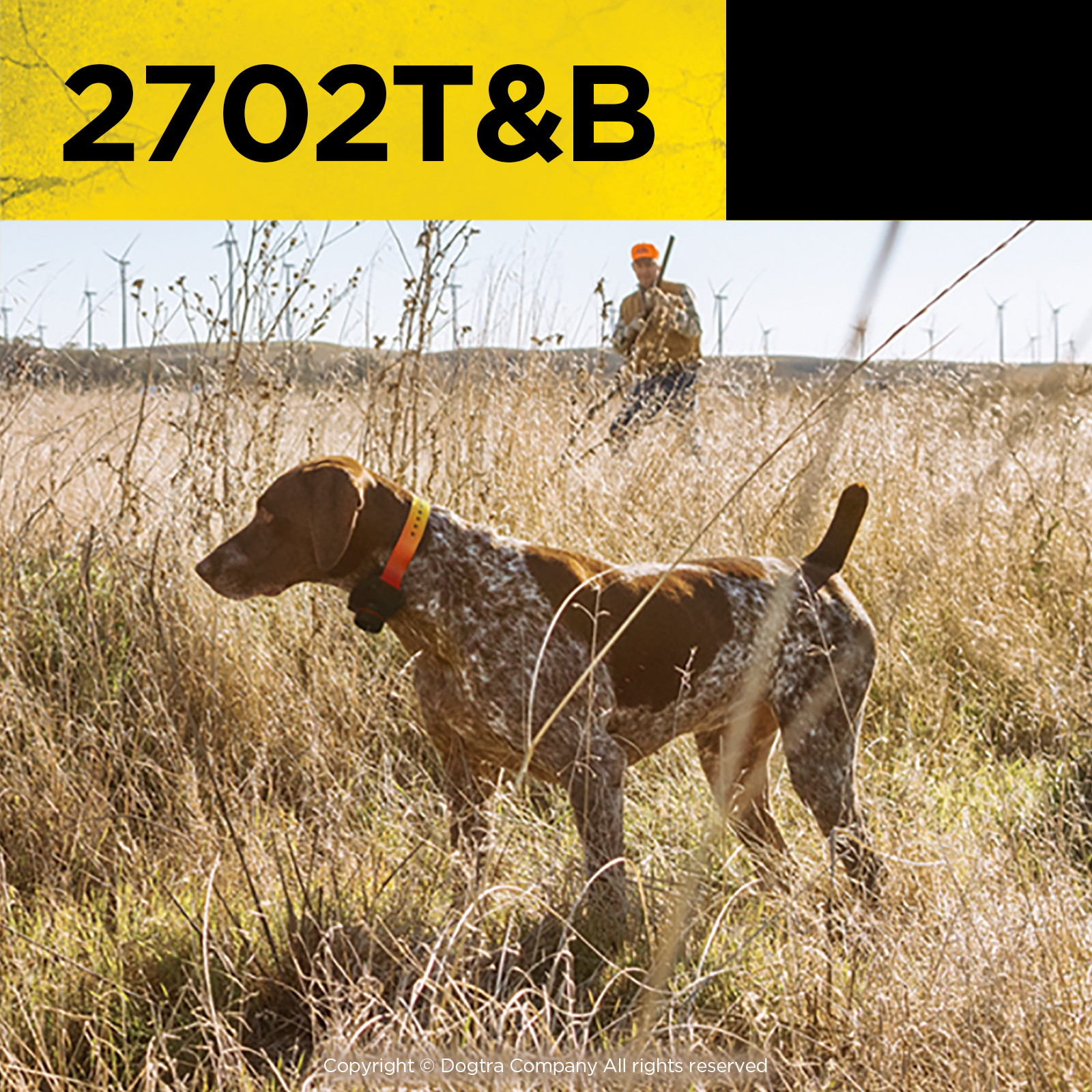 Dogtra 2702T&B TRAINING AND BEEPER
