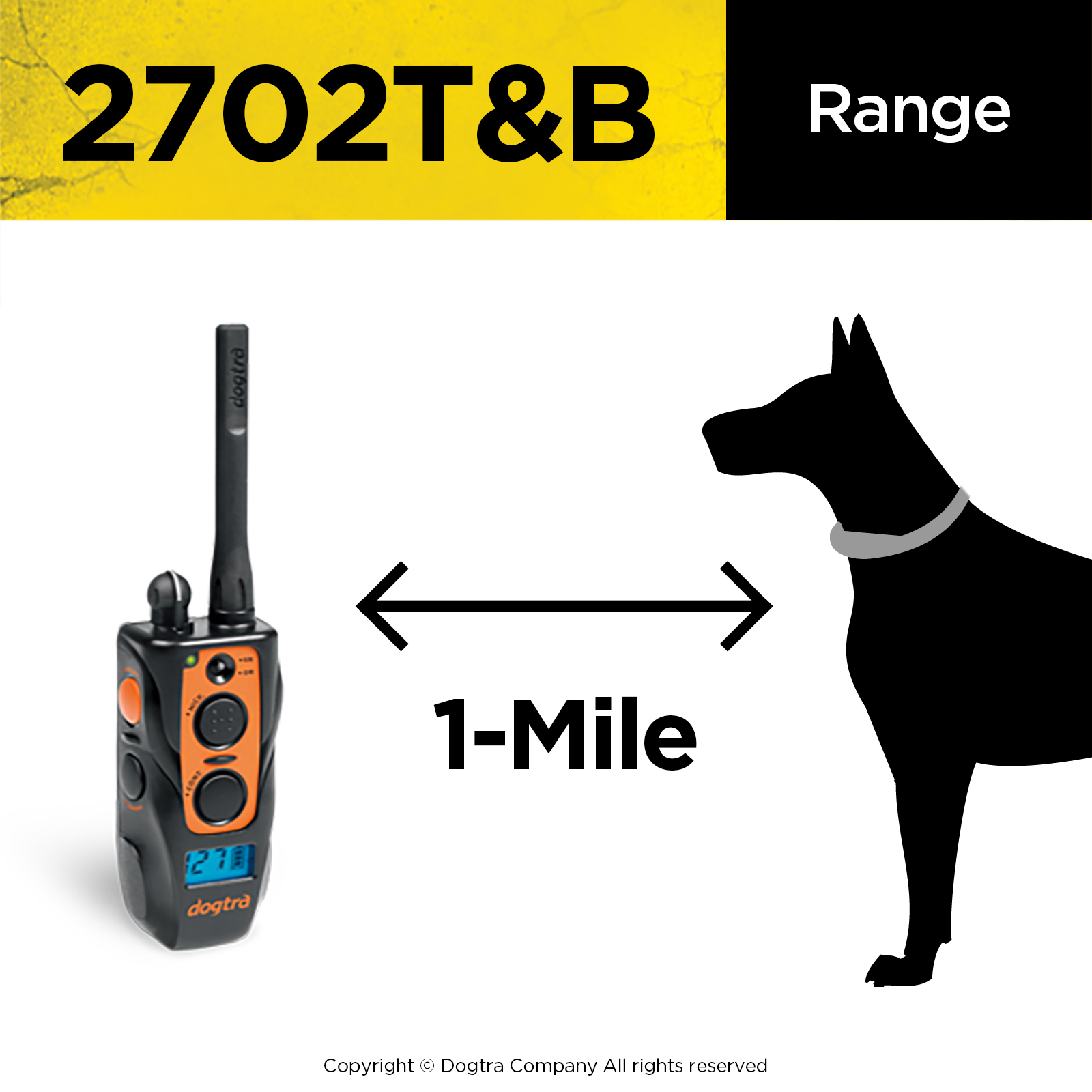 Dogtra 2702T&B TRAINING AND BEEPER