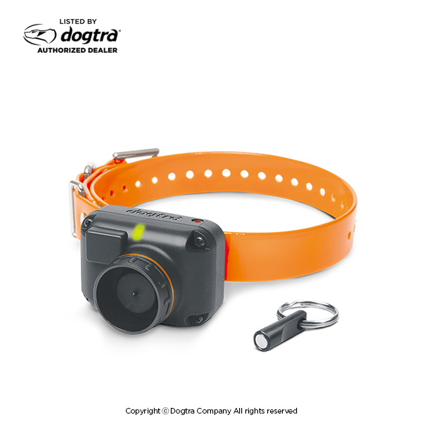 Dogtra STB BEEPER COLLAR