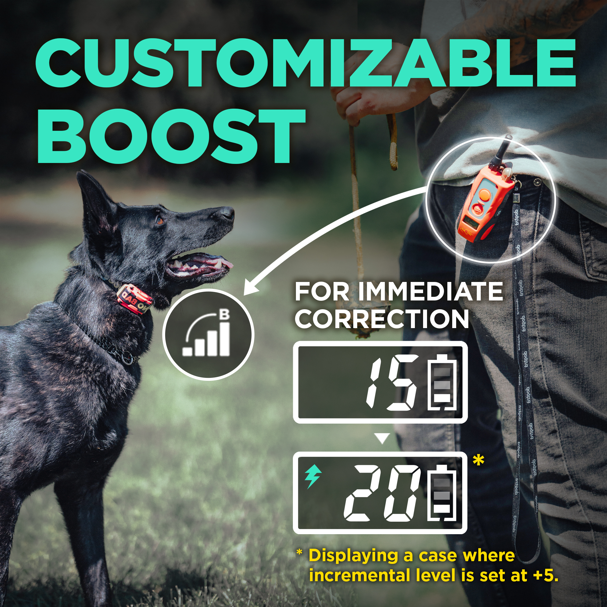 Dogtra 280C B&L (TOM DAVIS EDITION)