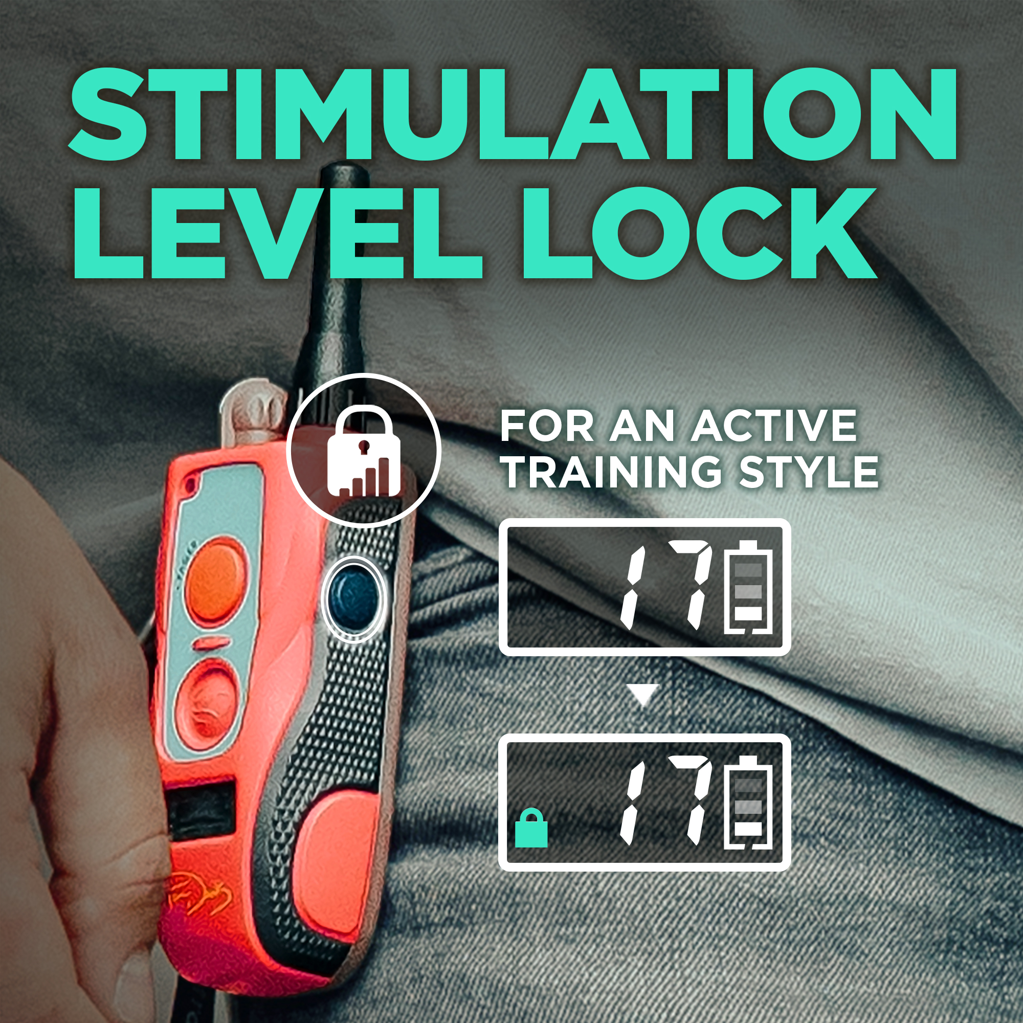 Dogtra 280C B&L (TOM DAVIS EDITION)