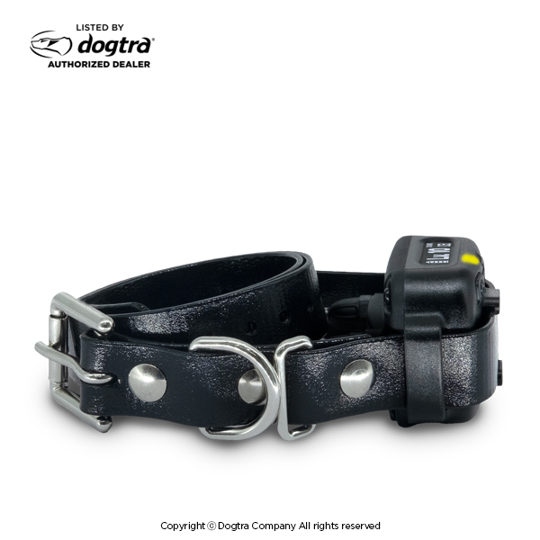 DOGTRA SMART NOBARK